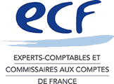 SYNDICAT EXPERTS COMPTABLES ET COMMISSAIRES AUX COMPTES DE FRANCE